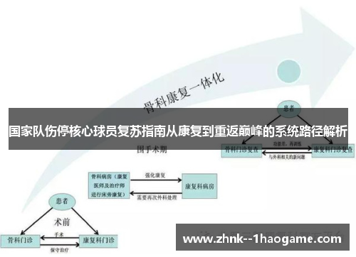 国家队伤停核心球员复苏指南从康复到重返巅峰的系统路径解析